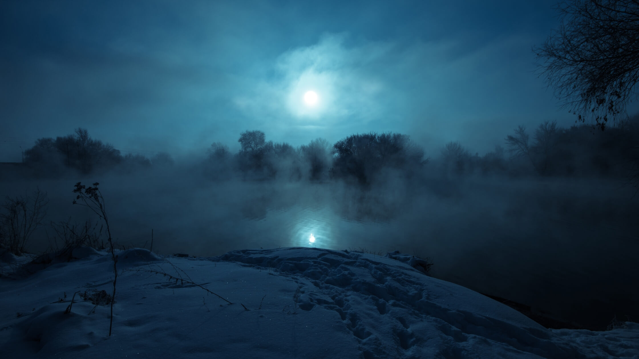 Verschneite Nacht, Vollmond, neblige mystische Atmosphäre, kahle Bäume, Wintersonnenwende