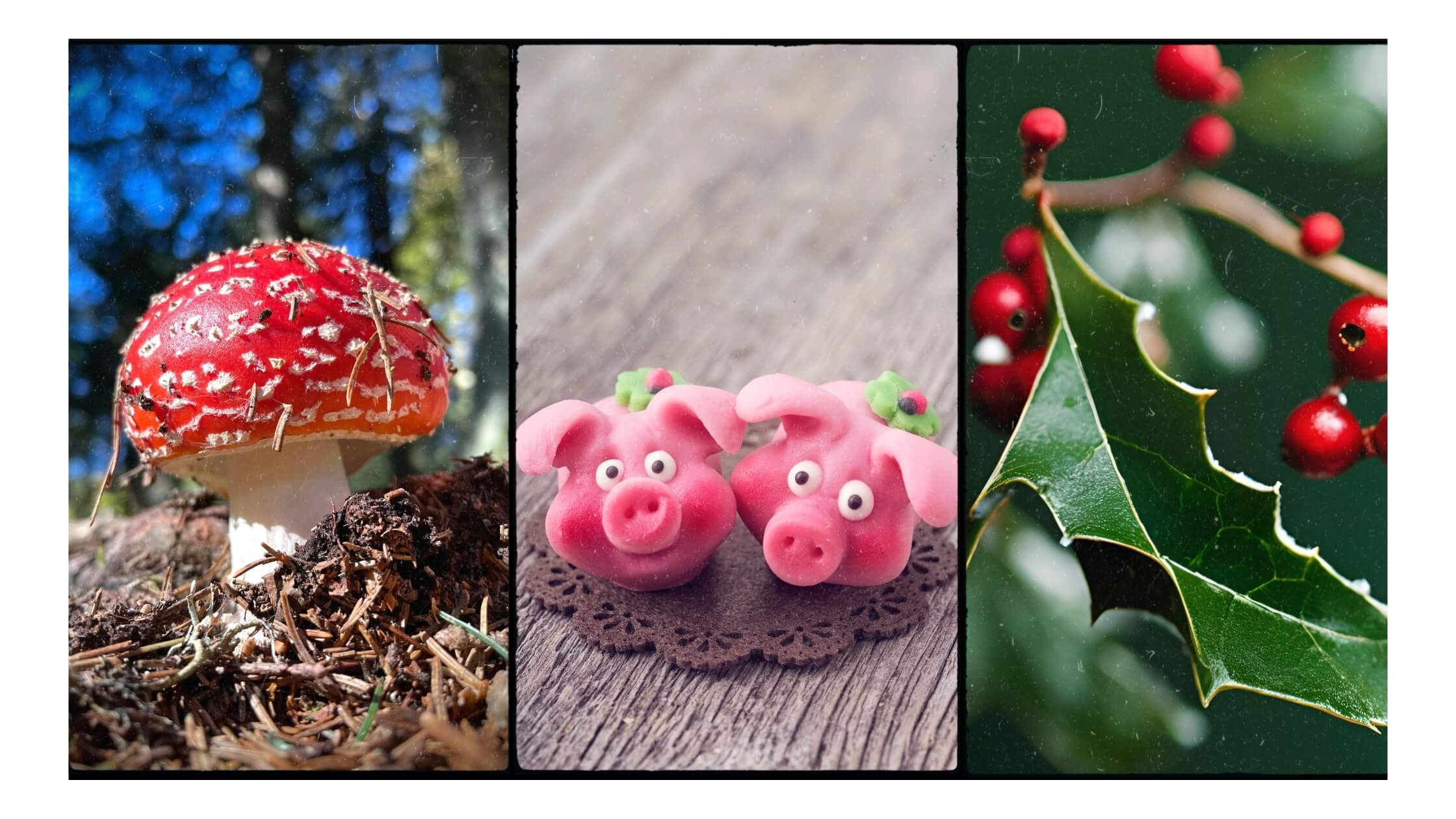 Collage oder Arrangement traditioneller Weihnachtssymbole: Fliegenpilz-Deko, Marzipanschwein, Mistelzweig, Stechpalme, natürlich arrangiert, Wintersonnenwende