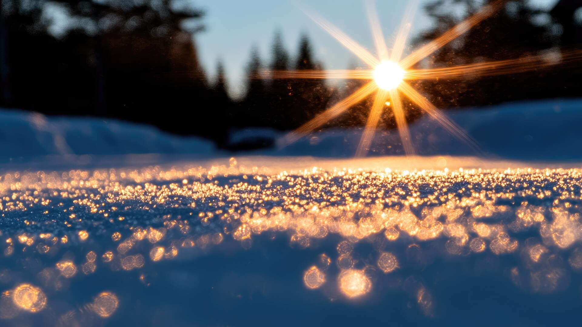 Winterlandschaft bei Sonnenuntergang, Schnee, goldenes Licht über verschneiten Bäumen