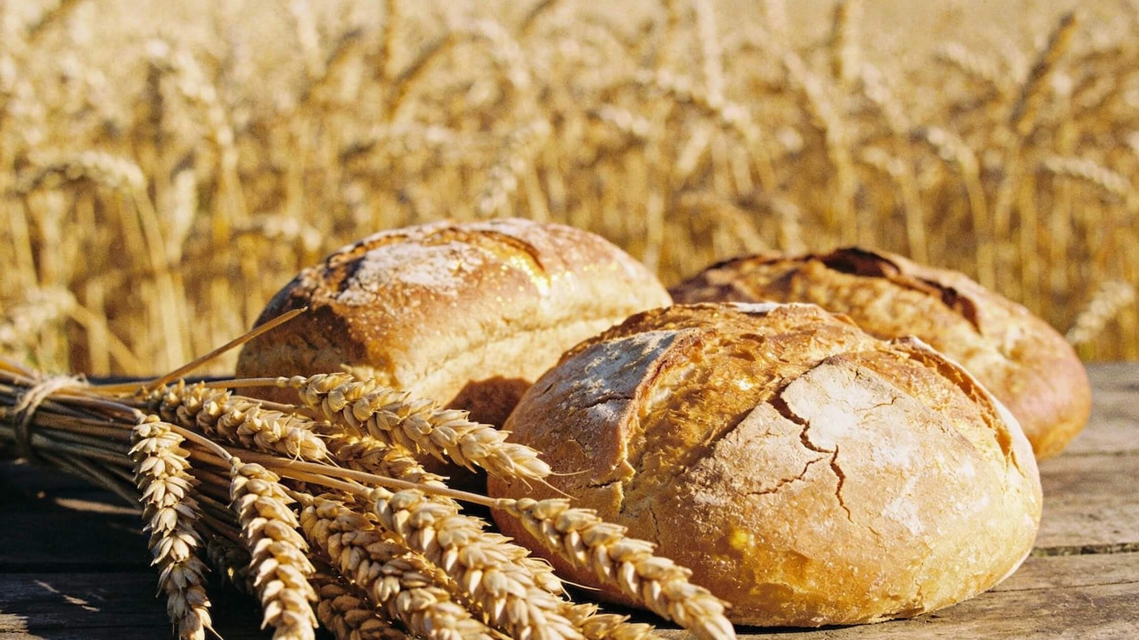 Getreideähren, Brot, goldenes Feld
