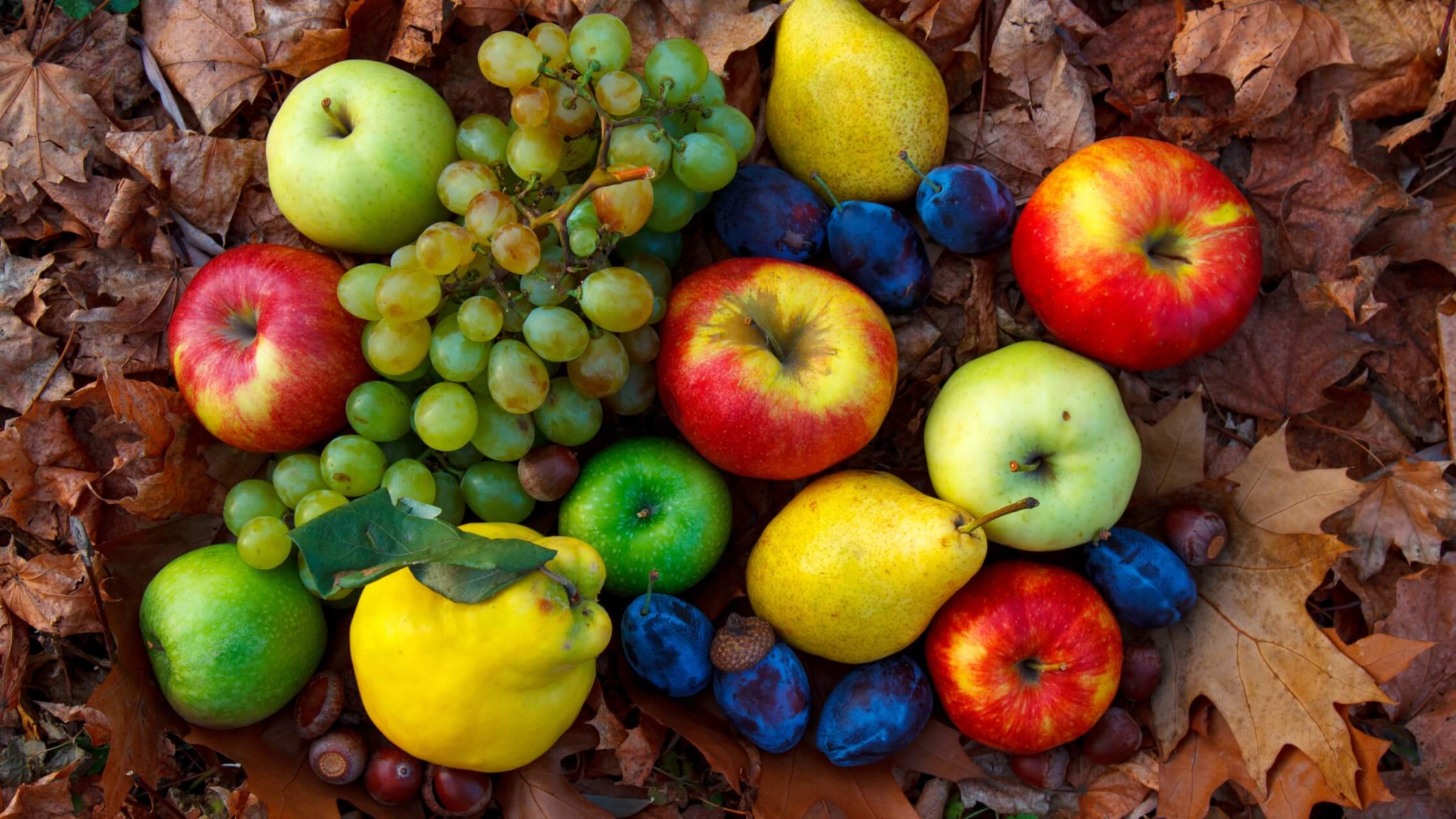 Herbstfrüchte, Äpfel, bunte Blätter