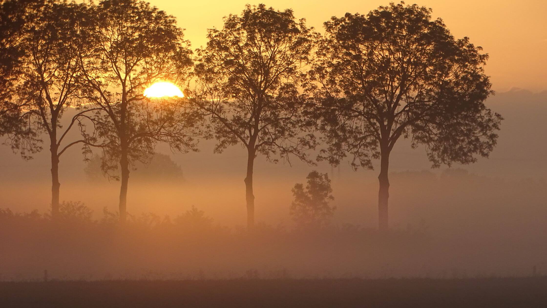 Sonnenaufgang zur Ostara Tagundnachtgleiche über Hügeln mit goldenem Licht