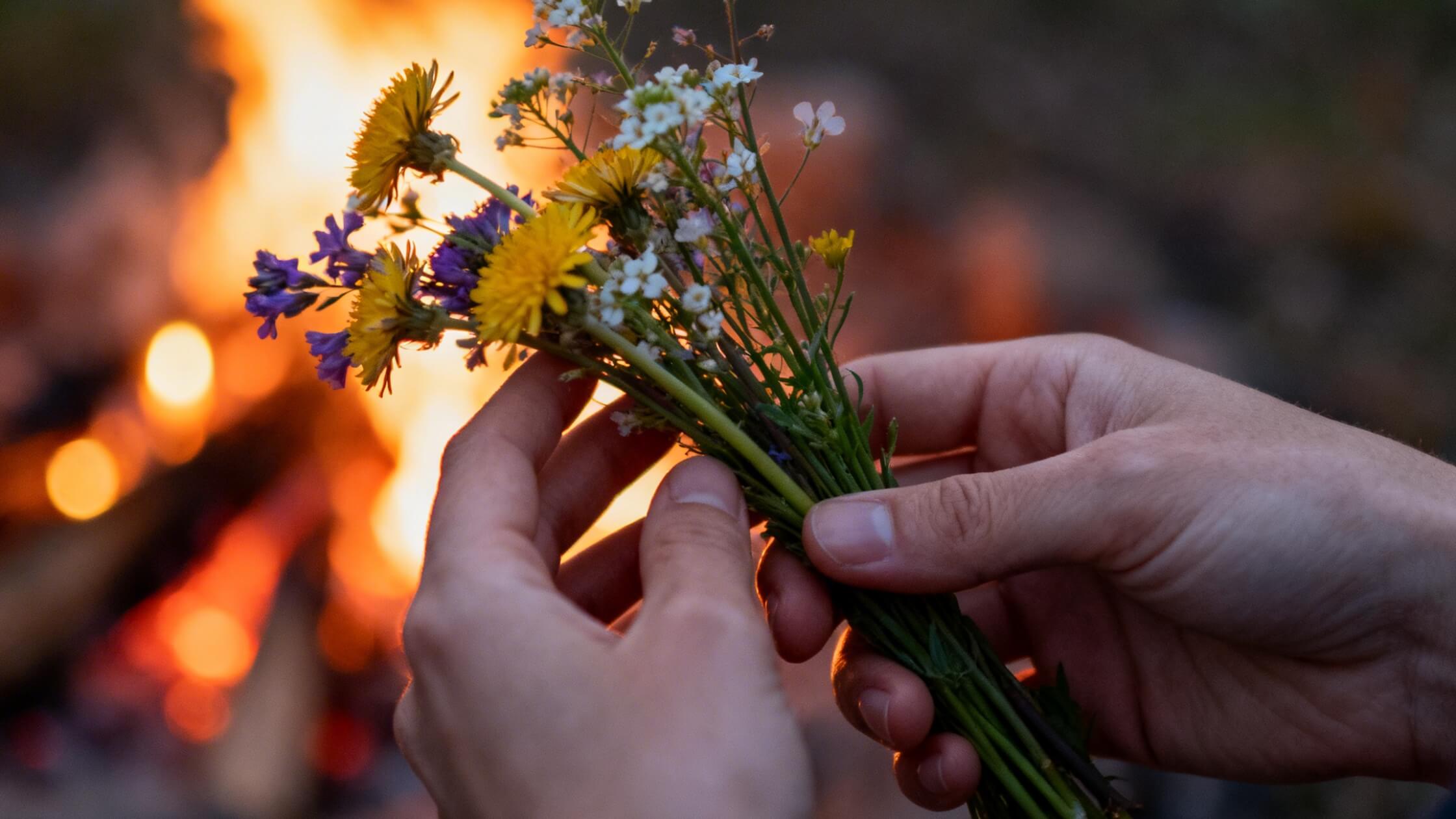 Hände halten Frühlingsblumen bei Feuerschein zu Beltane, Verbundenheit mit Natur bei Maifest, spirituelles Ritual Walpurgisnacht