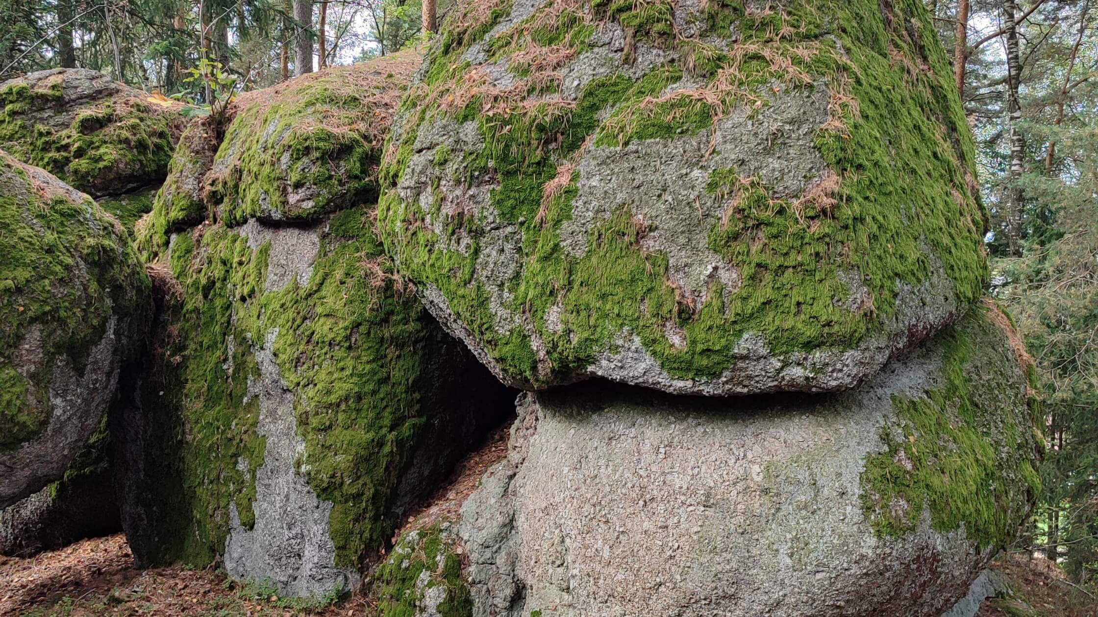 Alte moosbedeckte Steine in Waldlichtung als Kraftplatz für Geomantie, mystisches Morgenlicht