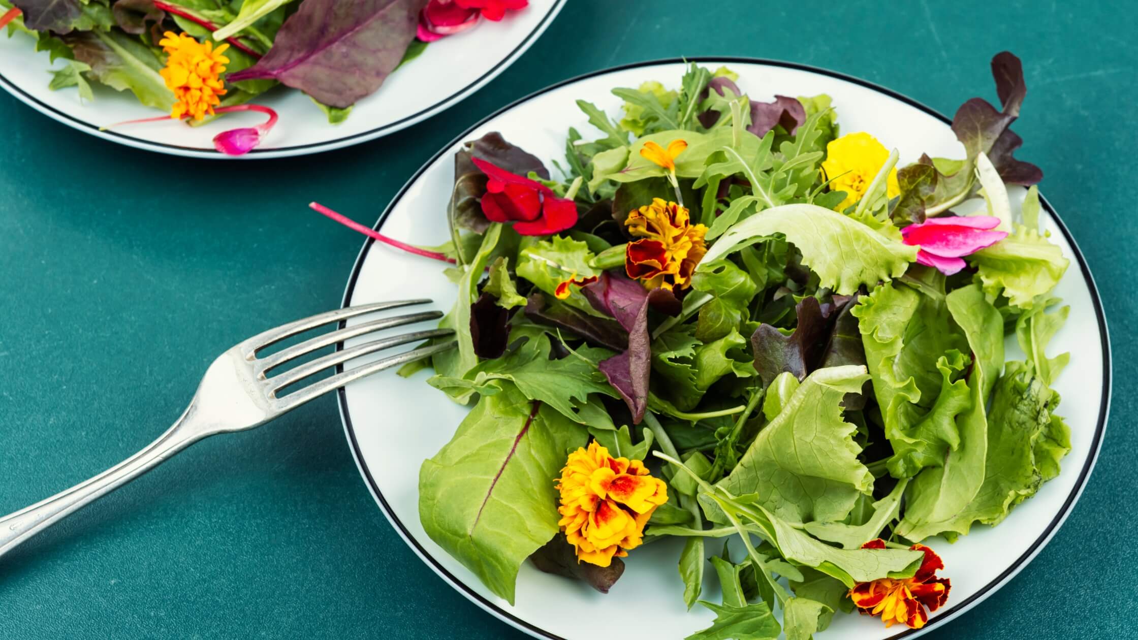 Gruener Salat mit bunten essbaren Blueten wie Kapuzinerkresse und Borretsch - Sommergericht passend zur Litha-Fuelle