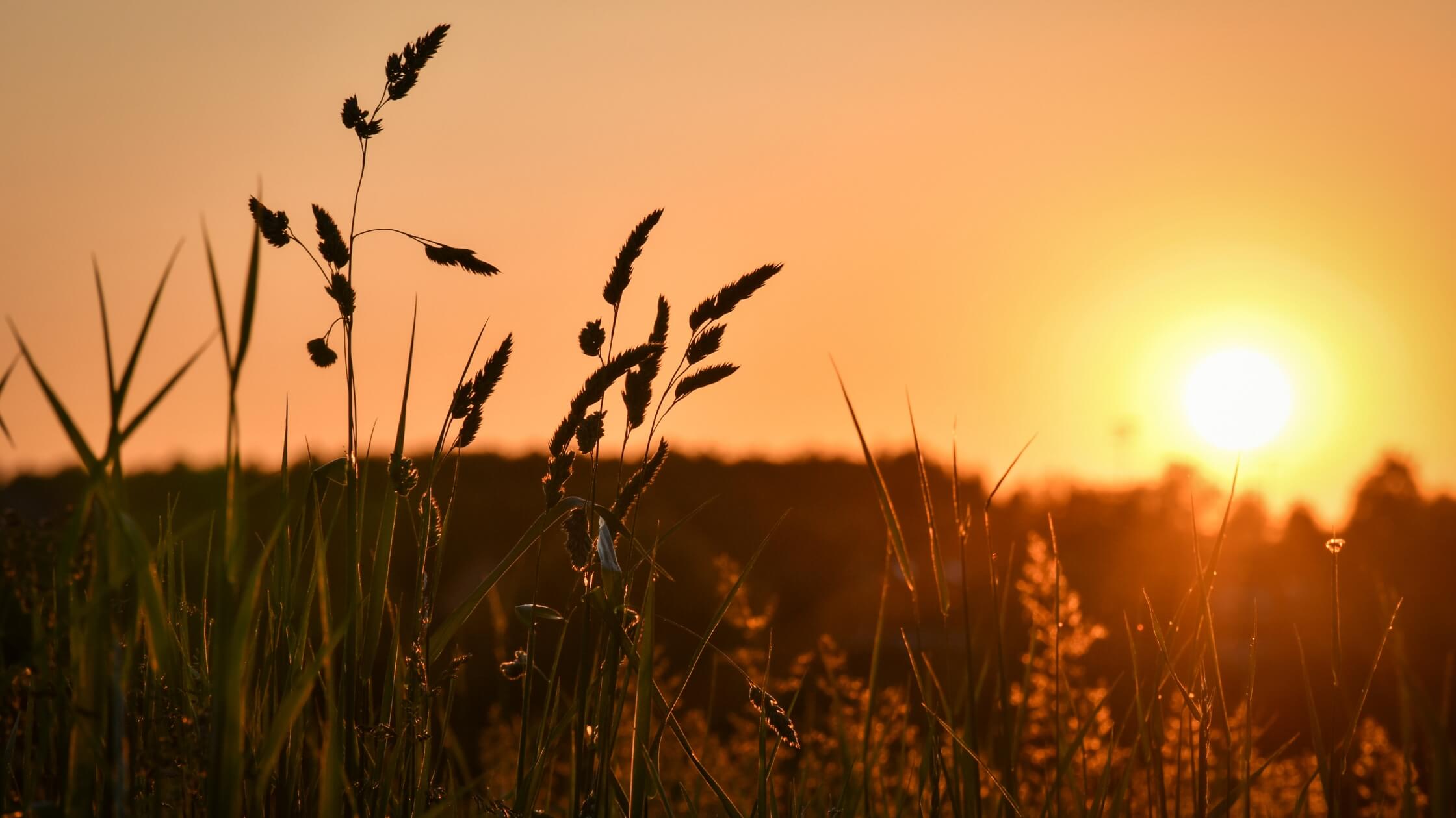 Sonnenuntergang am laengsten Tag des Jahres - Litha, die Sommersonnenwende, neigt sich dem Abend zu, das Licht verabschiedet sich