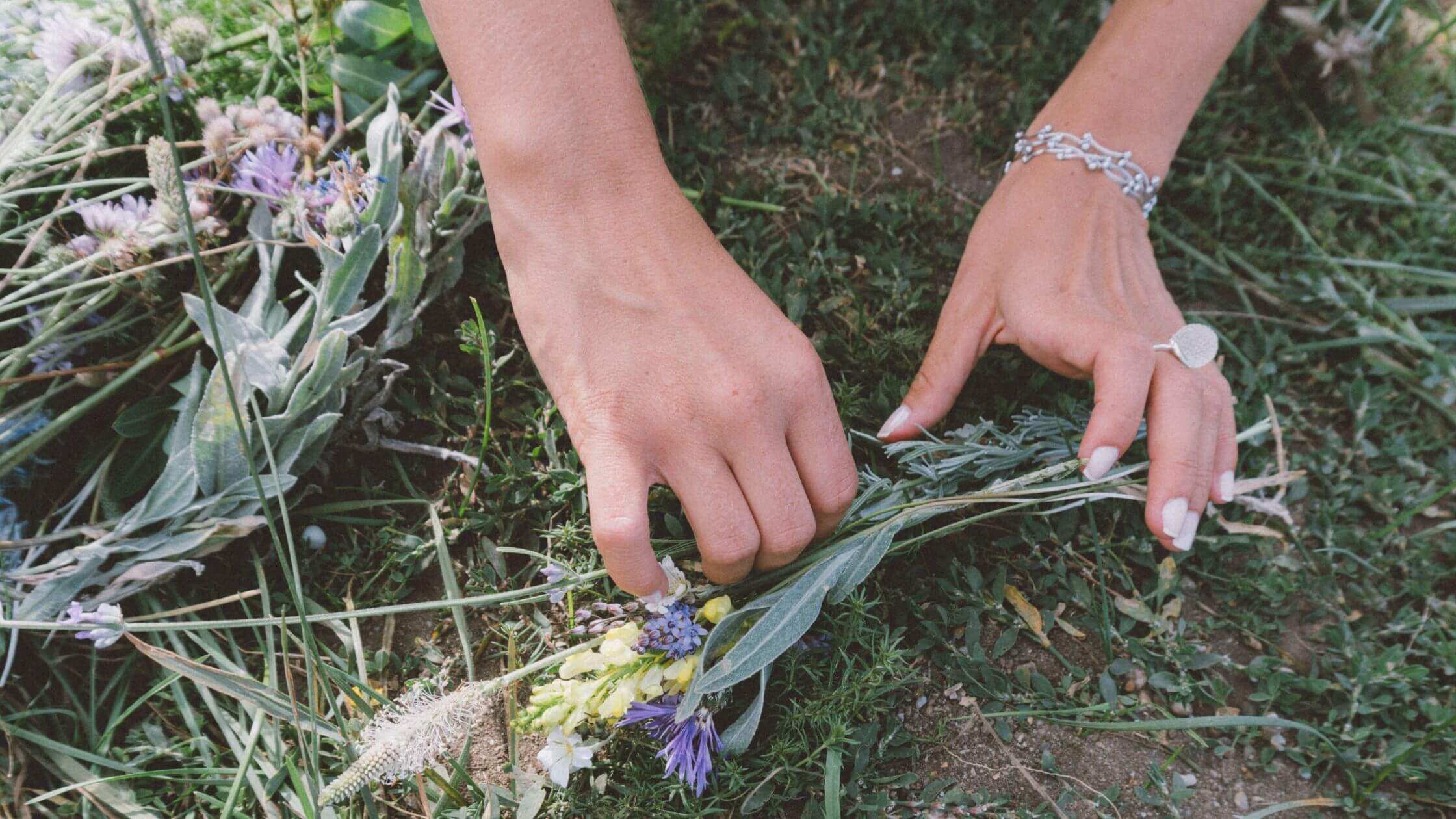 Lughnasadh feiern Rituale Kräuter und Rezepte Hände halten frischen Kräuterbündel zum Frauendreißiger