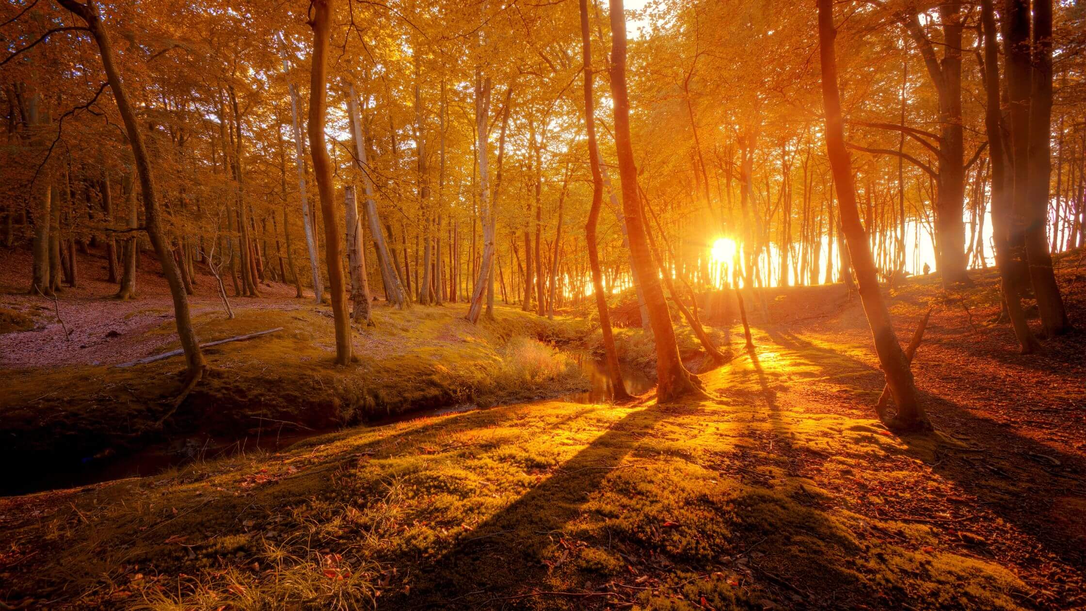 Mabon – Das Fest der Herbsttagundnachtgleiche im Jahreskreis Weite Herbstlandschaft im Abendlicht – Übergang zu Samhain im keltischen Jahreskreis